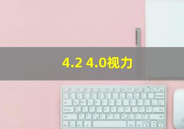 4.2 4.0视力